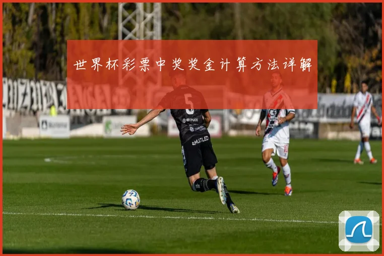 世界杯彩票中奖奖金计算方法详解