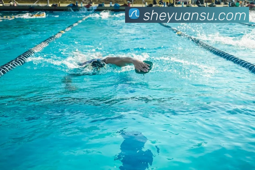 世界杯app平台发展历程